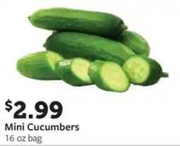 Fareway Mini Cucumbers offer