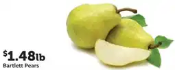 Fareway Bartlett Pears offer