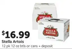 Fareway Stella Artois offer