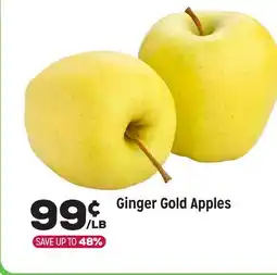 Grocery Outlet Ginger Gold Apples offer