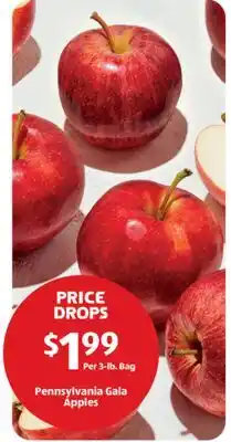 Aldi Pennsylvania Gala Apples offer