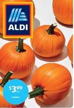 Aldi Pumpkins offer