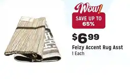 Grocery Outlet Accent Rug Asst offer