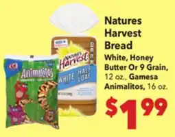 Vallarta Supermarkets Natures Harvest Bread offer