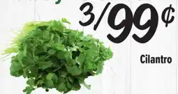El Super Cilantro offer