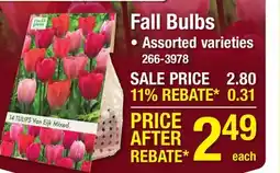 Menards Fall Bulbs offer