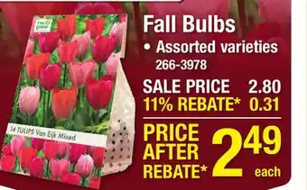 Menards Fall Bulbs offer