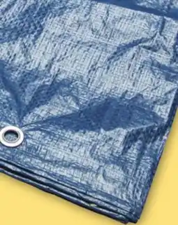 Menards 6' x 8' Tarp offer