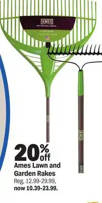 Meijer Ames Lawn and Garden Rakes offer