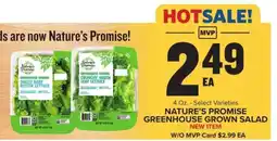 Food Lion NATURE’S PROMISE GREENHOUSE GROWN SALAD offer