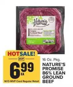 Food Lion Nature's Promise 86% Lean Ground Beef offer