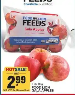 Food Lion FOOD LION GALA APPLES offer