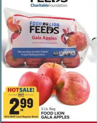 Food Lion FOOD LION GALA APPLES offer