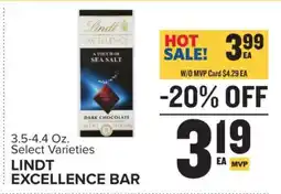 Food Lion Lindt Excellence Bar offer