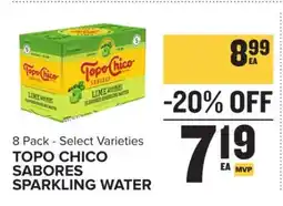 Food Lion Topo Chico Sabores Sparkling Water offer