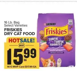 Food Lion Friskies Dry Cat Food offer