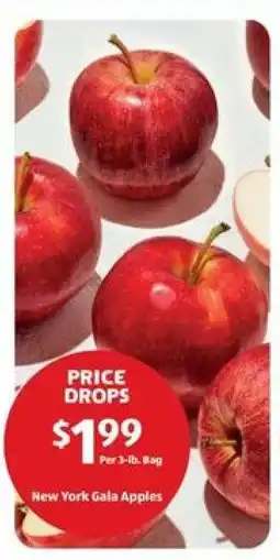 Aldi New York Gala Apples offer