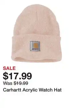 Dick's Sporting Goods Carhartt Acrylic Watch Hat offer