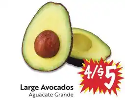 Foodmaxx Large Avocados offer