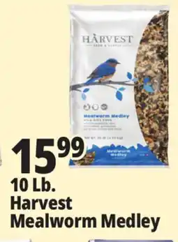 Ocean State Job Lot Harvest Seed & Supply Mealworm Medley Wild Bird Food 10 lb offer