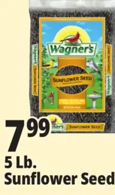Ocean State Job Lot Wagner's Black Oil Sunflower Seed Wild Bird Food 5 lbs offer