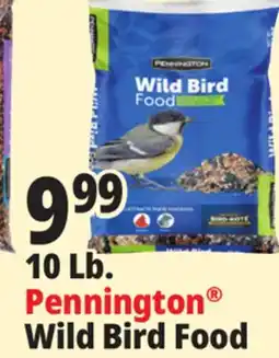 Ocean State Job Lot Pennington Wild Bird Food 10 lbs offer