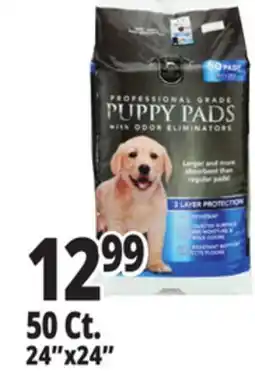 Ocean State Job Lot Puppy Pads offer