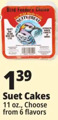 Ocean State Job Lot Bird Feeder's Choice High Energy Suet 11 oz offer