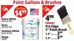 Ocean State Job Lot Paint Gallons + Brushes offer