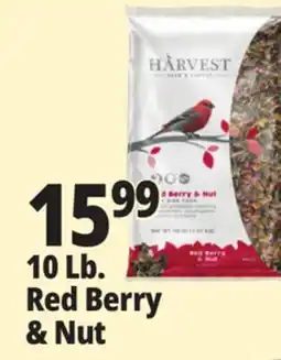 Ocean State Job Lot Harvest Seed & Supply Red Berry & Nut Wild Bird Food 10 lb offer