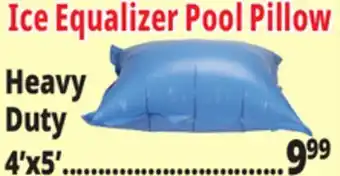 Ocean State Job Lot SwimWorks Heavy-Duty Pool Pillow 4' x 5' offer
