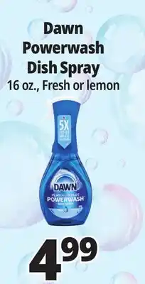 Ocean State Job Lot Dawn Platinum Plus Power wash Dish Spray 16 oz offer