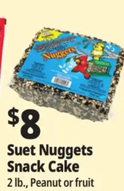 Ocean State Job Lot C&S EZ Fill Suet Cake or Snak Feeder offer