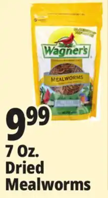 Ocean State Job Lot Wagner's Bird Meal Worms 7oz offer