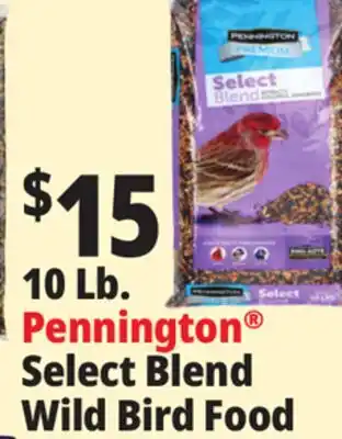 Ocean State Job Lot Pennington Premium Select Blend Bird Seed 10 lb offer