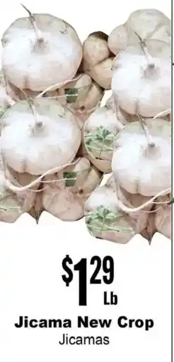 Rancho Markets Jicama New Crop offer