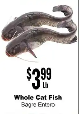 Rancho Markets Whole Cat Fish offer