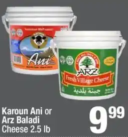 Super King Markets Karoun Ani or Arz Baladi lb Cheese offer