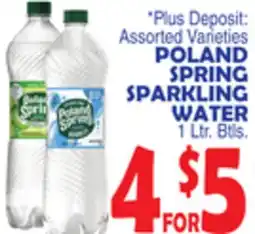 Bravo Supermarkets POLAND SPRING SPARKLING WATER offer