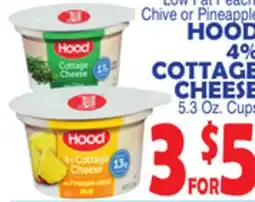 Bravo Supermarkets HOOD 4% COTTAGE CHEESE offer