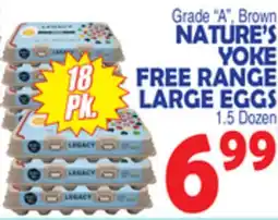 Bravo Supermarkets NATURE'S YOKE FREE RANGE LARGE EGGS offer