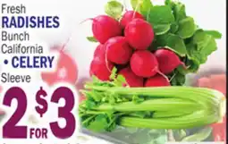 Bravo Supermarkets FRESH RADISHES, CELERY SLEEVE offer