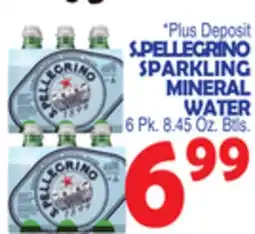 Bravo Supermarkets S. PELLEGRINO SPARKLING MINERAL WATER offer
