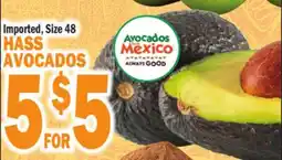 Bravo Supermarkets HASS AVOCADOS offer