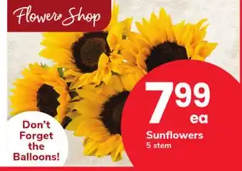 ACME Sunflowers offer