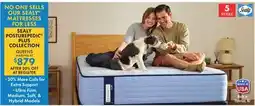Boscov's MATTRESSES FOR SEALY POSTUREPEDIC PLUS COLLECTION offer