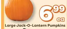 Weis Markets Large Jack-O-Lantern Pumpkins offer