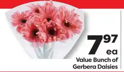 Weis Markets Value Bunch of Gerbera Daisies offer