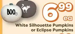 Weis Markets White Silhouette Pumpkins or Eclipse Pumpkins offer