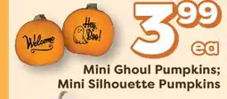 Weis Markets Mini Ghoul Pumpkins Mini Silhouette Pumpkins offer